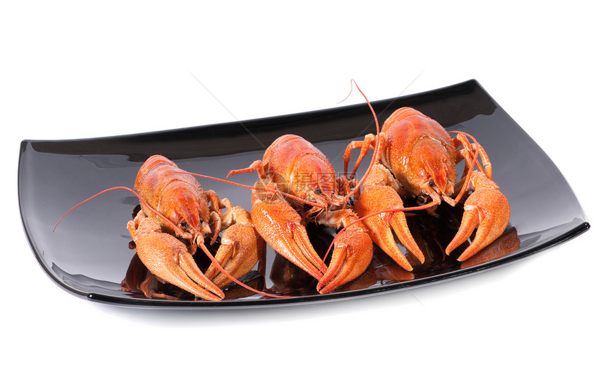 红煮龙虾市场烹饪黑色工作室美食动物茴香甲壳熟食贝类图片
