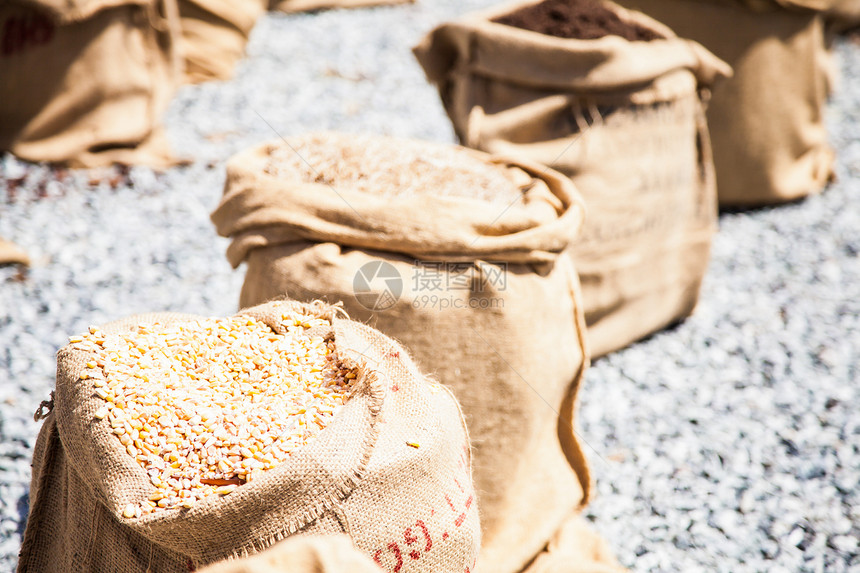 夏季小麦麻袋水果收成谷物农场乡村玉米粮食食物金子图片