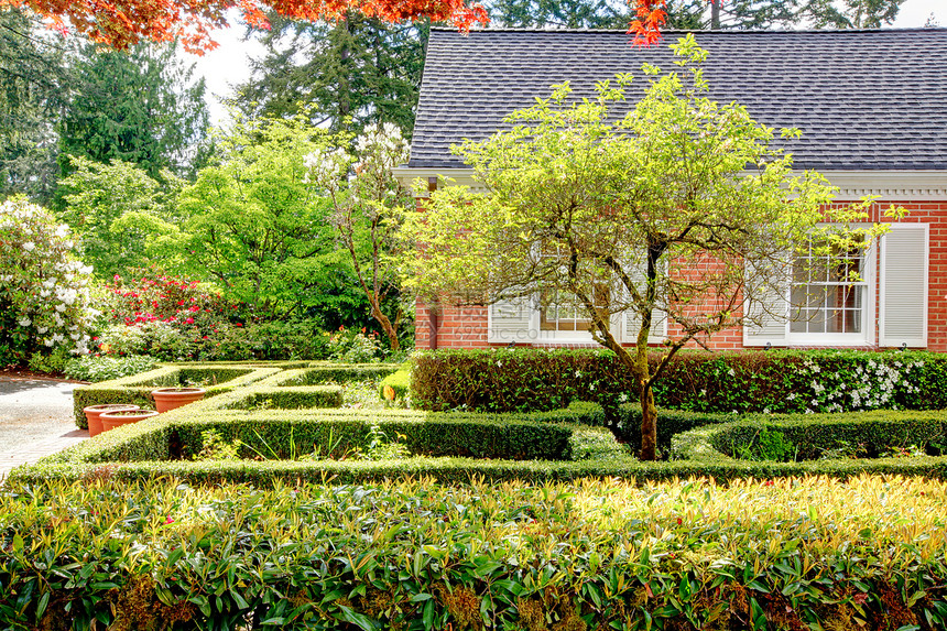 带有英国花园和白色窗帘的砖红色房子树木英语建筑学历史灌木图片
