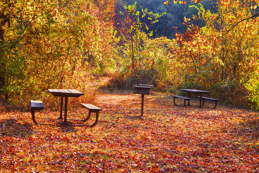高动态区域野营区图像荒野草地颜色活力叶子餐桌树木森林野餐风景图片