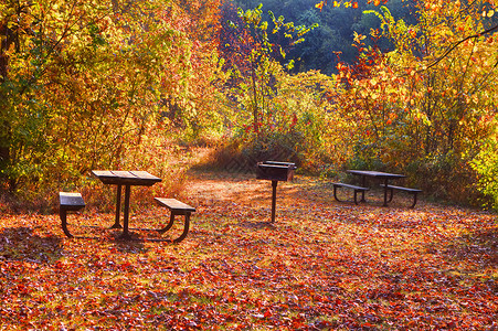 十月一台历桌签高动态区域野营区图像荒野草地颜色活力叶子餐桌树木森林野餐风景背景