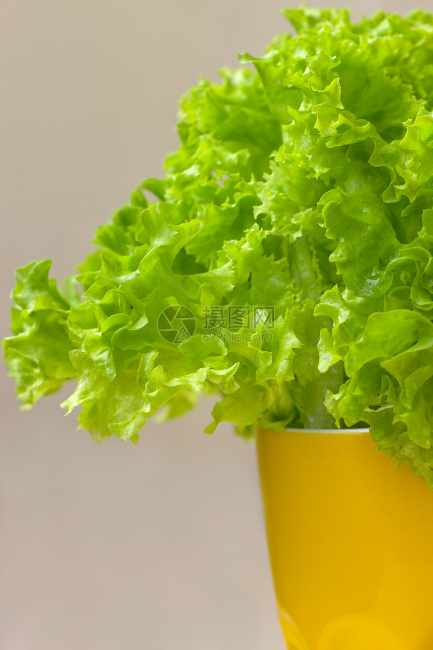黄杯生菜生产美食木板叶子饮食绿色桌子黄色食物蔬菜图片