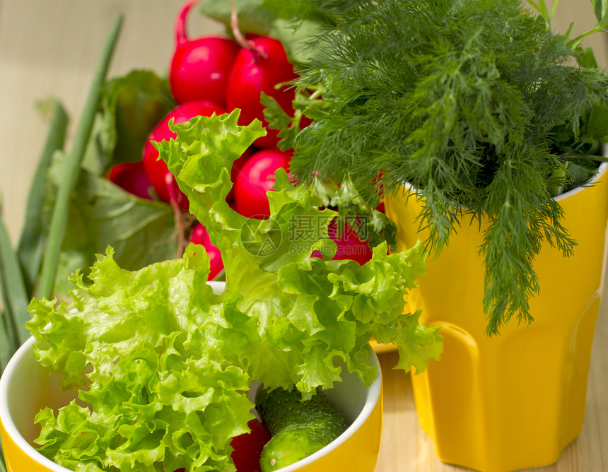 新鲜菠菜 黄瓜和西红柿植物萝卜辣椒饮食厨房沙拉洋葱蔬菜草药香菜图片