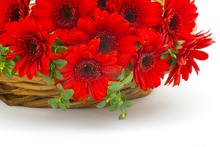 篮子里的梅花花周年植物群叶子热情雏菊纪念日婚姻生日礼物庆典图片