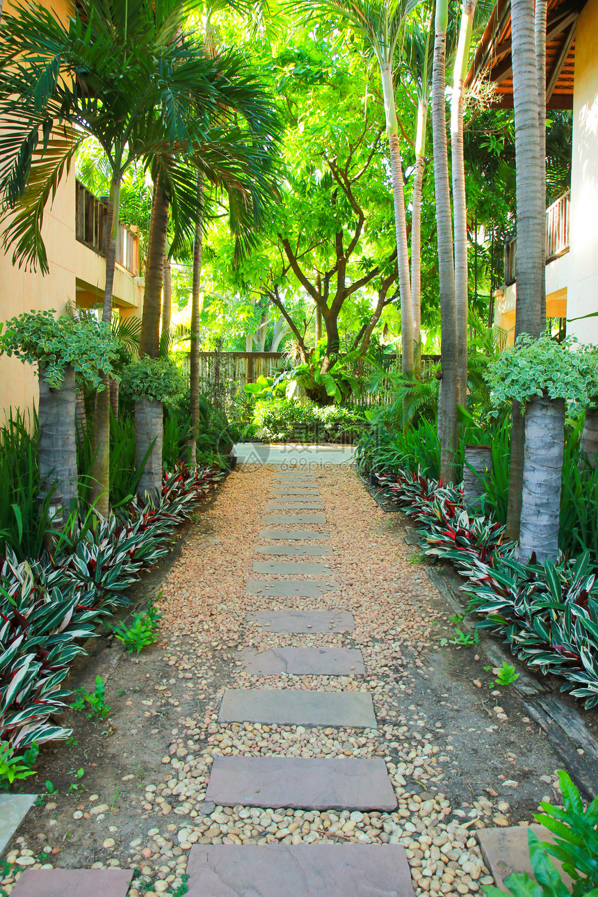 进入热带花园的石块通道植物人行道路线花园热带植物学衬套院子棕榈后院图片