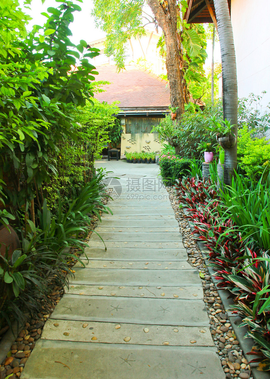 进入热带花园的石块通道车道石头人行道植物学路面后院建筑学热带院子叶子图片