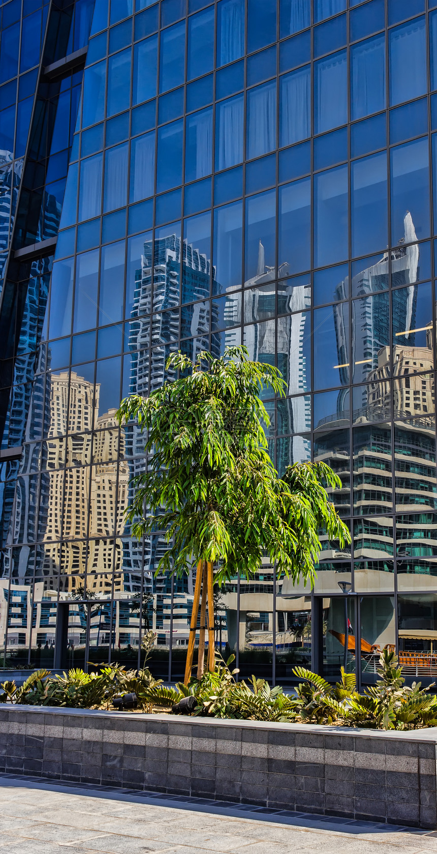 镜子玻璃中倒影背景的树上写着建筑学蓝色商业场景酒店城市办公室摩天大楼反射景观图片