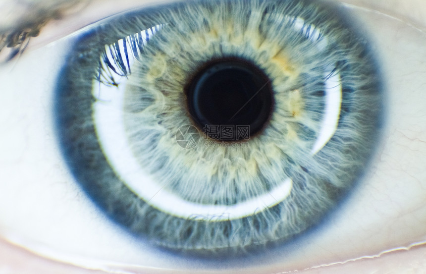 蓝眼睛女孩青色眼睛鸢尾花角膜宏观女性眼球黄色瞳孔环形图片