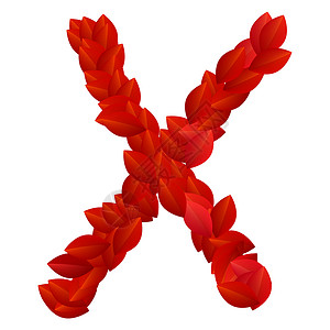红字母素材红花瓣字母X字母插画