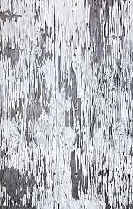 木柴上旧的白漆涂料剥皮油漆效果质地质感剥落纹理古董白色木头背景图片