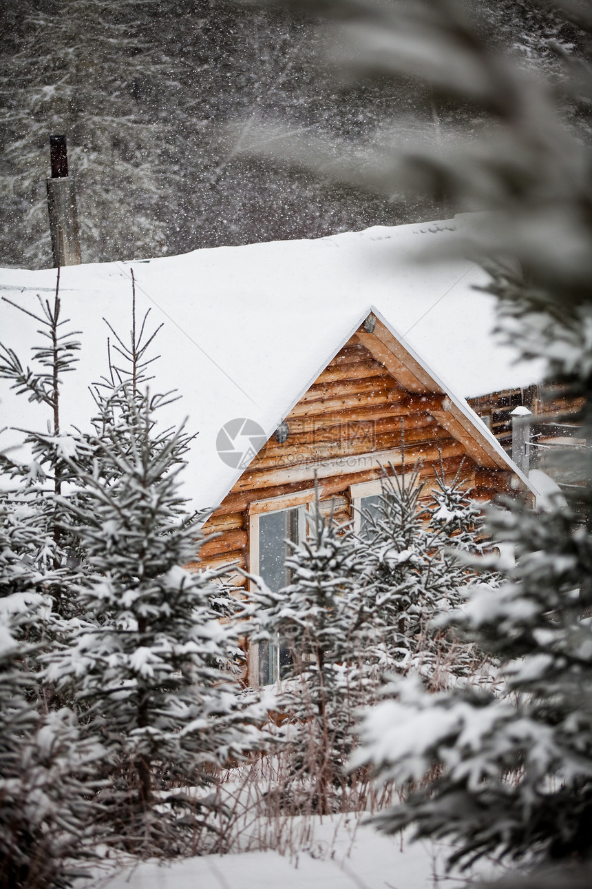 木木棚木头建筑森林晴天气候日志窝棚风暴暴风雪天气图片