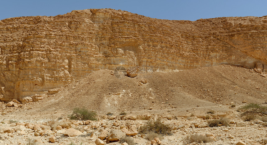 沙漠中岩墙底部(以色列纳哈勒巴拉克峡谷附近)的阿卡西亚树和灌木图片