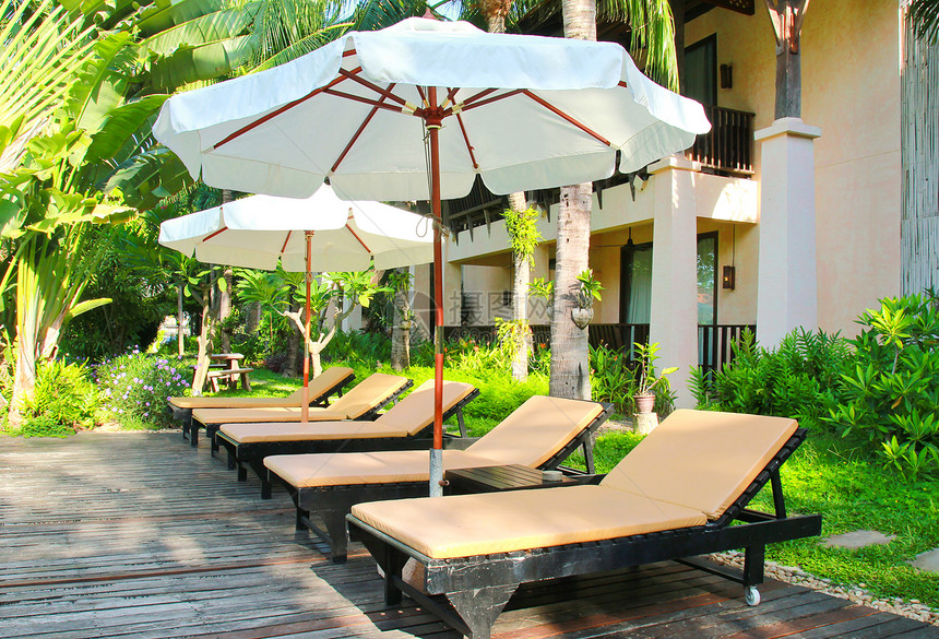 海滩椅和伞式侧游泳池天堂椅子木头风格支撑休息水池遮阳棚植物艺术图片