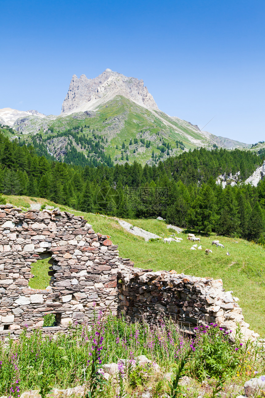 意大利阿尔卑斯山场地蓝色山脉假期顶峰全景场景绿色乡村天空图片