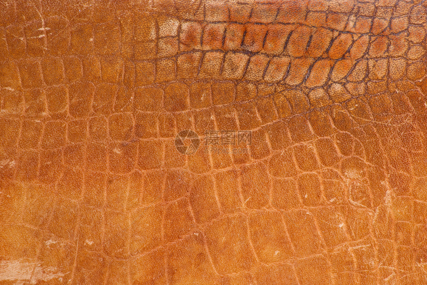 鳄鱼皮材料棕色动物手提包图片