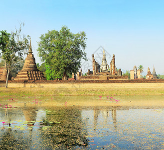 印度莲花寺Sukhothai历史公园旅游世界文化反射建筑池塘宝塔纪念碑地标建筑学背景