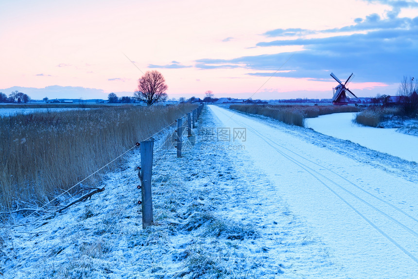 冬季荷兰的自行车车道和风车图片