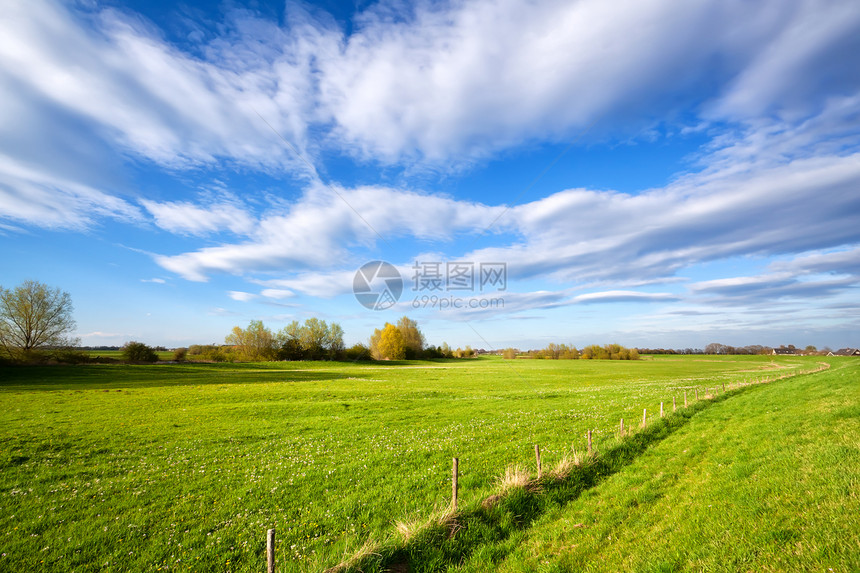 夏季草原和蓝天空图片