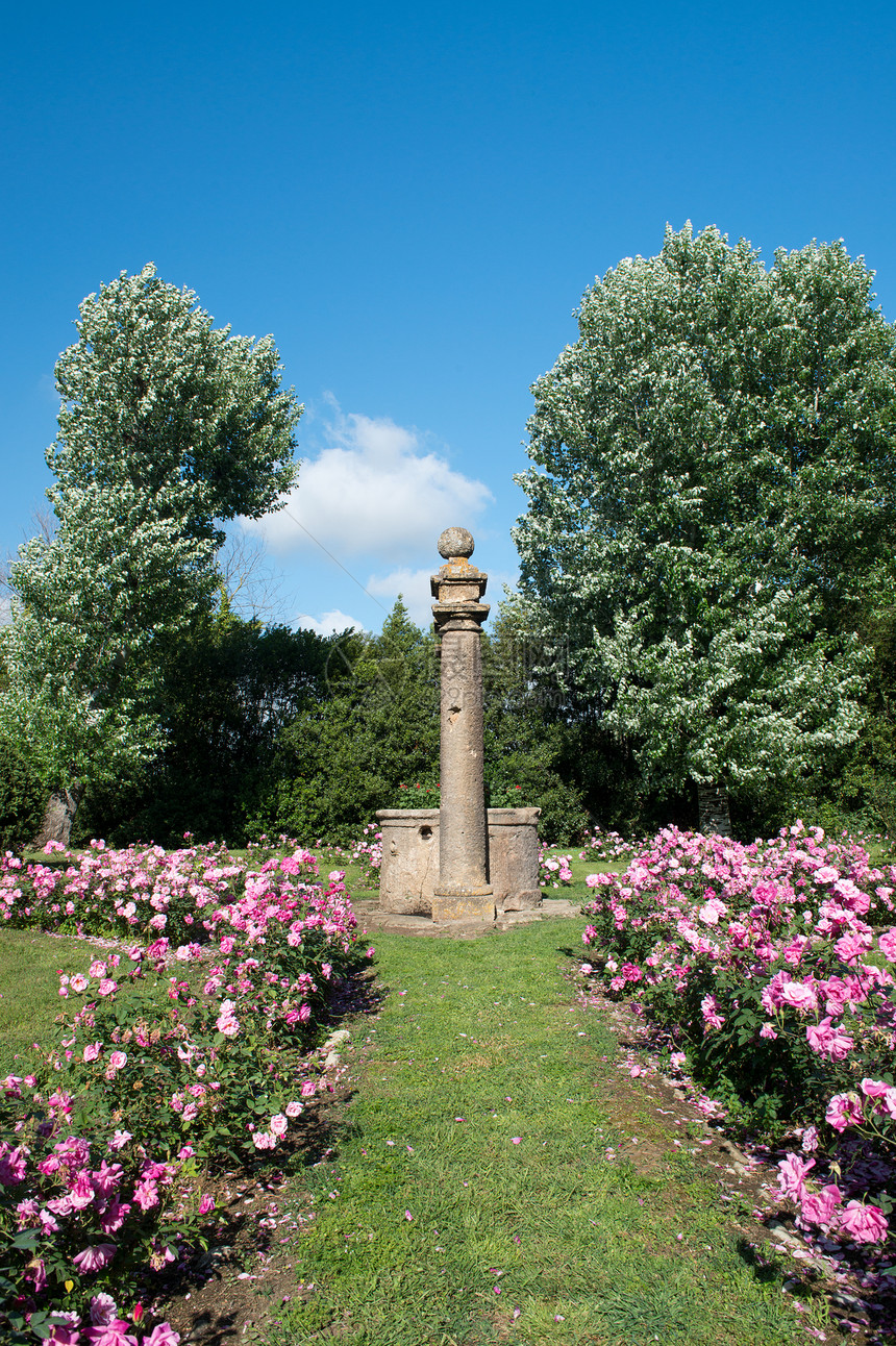 意大利博尔盖里美丽的花园和玫瑰图片