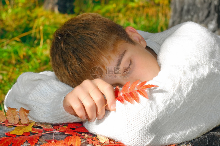 男孩睡觉夹克休息毛衣季节睡意森林公园树木睡眠瞌睡图片