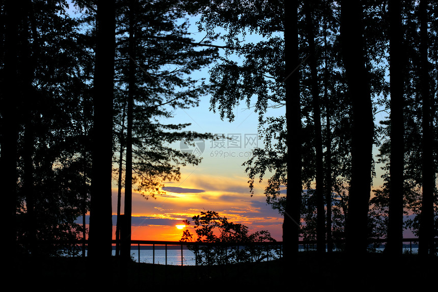 木柴中的日落季节木头海岸线地平线松树天气梦幻场景戏剧性森林图片