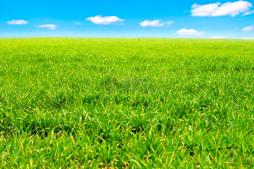夏季外地亮度天空阴霾季节土地环境阳光草地美丽蓝色图片