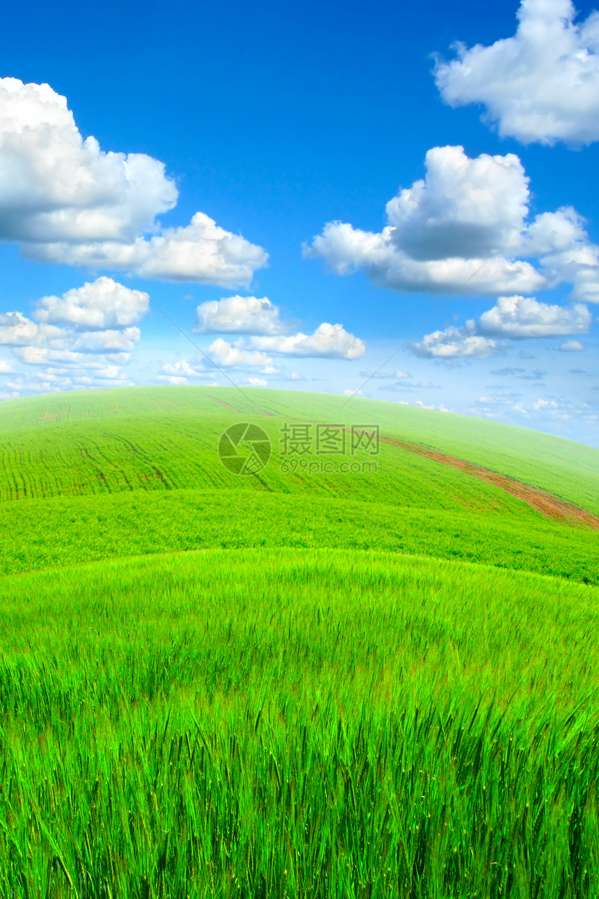 夏季风景爬坡亮度土地阴霾场地地平线绿色植物阳光太阳蓝色图片
