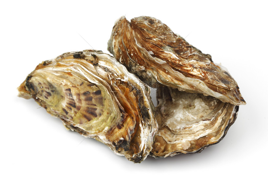白色的牡蛎壳类海鲜食物饮食熟食餐厅营养美食奢华托盘图片
