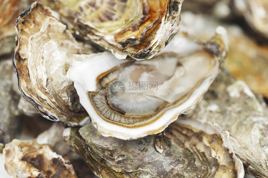 牡蛎背景托盘奢华美食餐厅海鲜宏观壳类营养盘子熟食图片