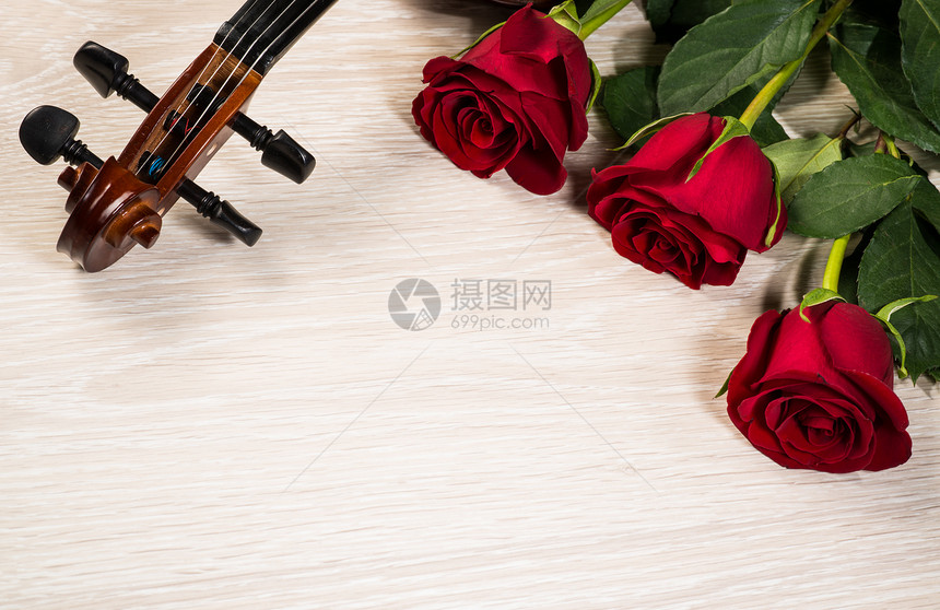 Violin 玫瑰和音乐书籍木头手臂仪式小提琴周年艺术艺术性歌曲纪念日花朵图片