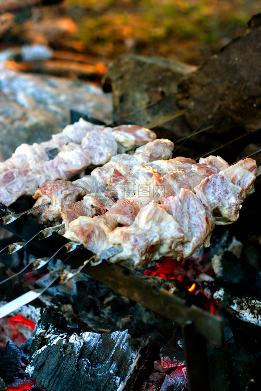 烧烤煤炭牛扒野餐营火辉光猪肉阳光晴天烹饪派对图片