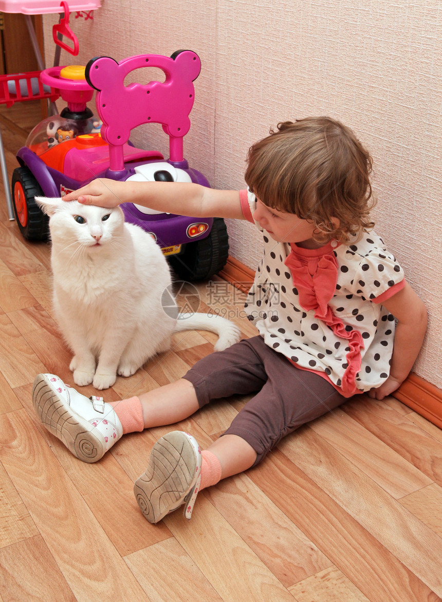 带着猫的小女孩地面女孩玩具手臂童年女性房间好奇心动物婴儿图片