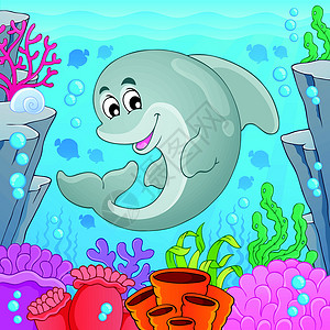 海豚主题6的图像背景图片