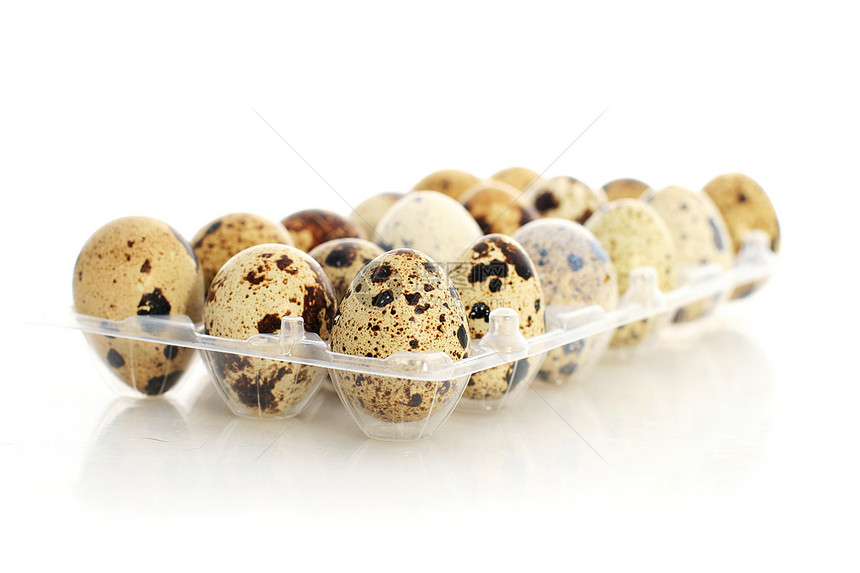 鸡蛋在白色上被孤立烹饪棕色鹌鹑健康饮食动物黄色图片