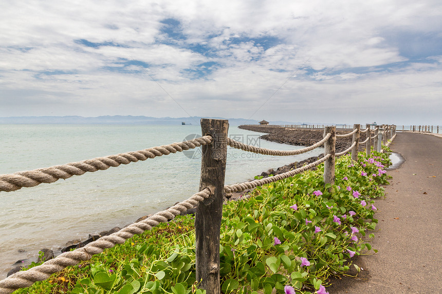 红海海岸绳索植物天空树叶栅栏图片