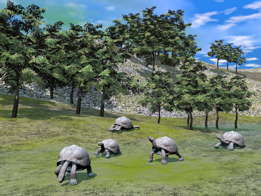 加拉帕戈斯海龟的自然性质 - 3D图片
