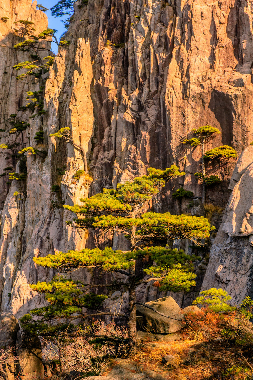 黄山和树斑点日落文化天空红色历史石头太阳旅游蓝色图片