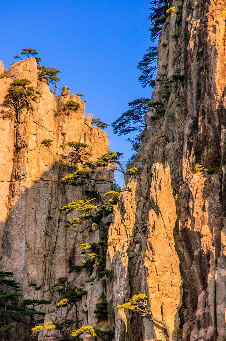 黄山和树历史红色日落旅游太阳斑点晴天网站风景石头图片