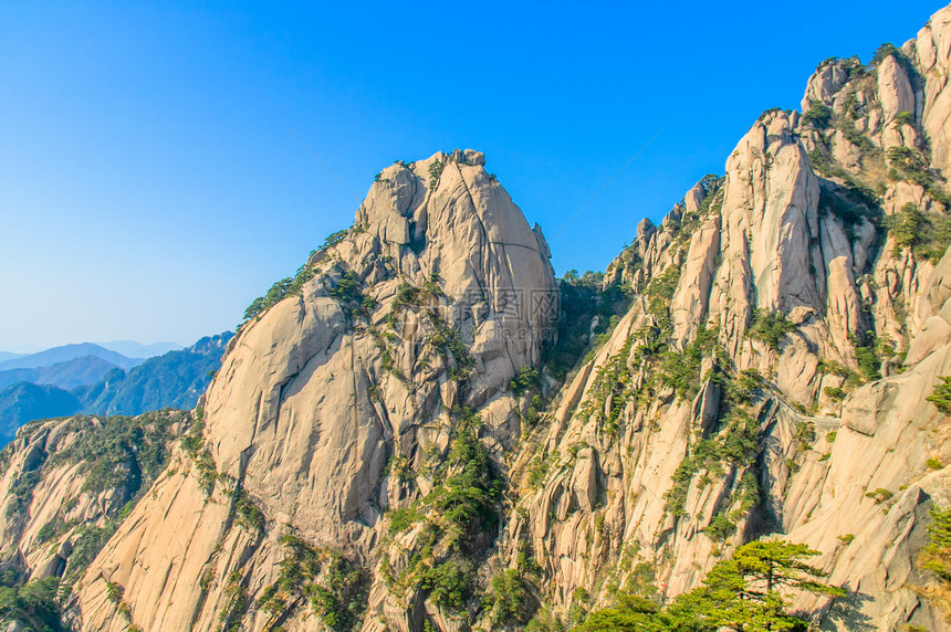 黄山和树树木斑点晴天网站风景日落石头文化红色旅游图片