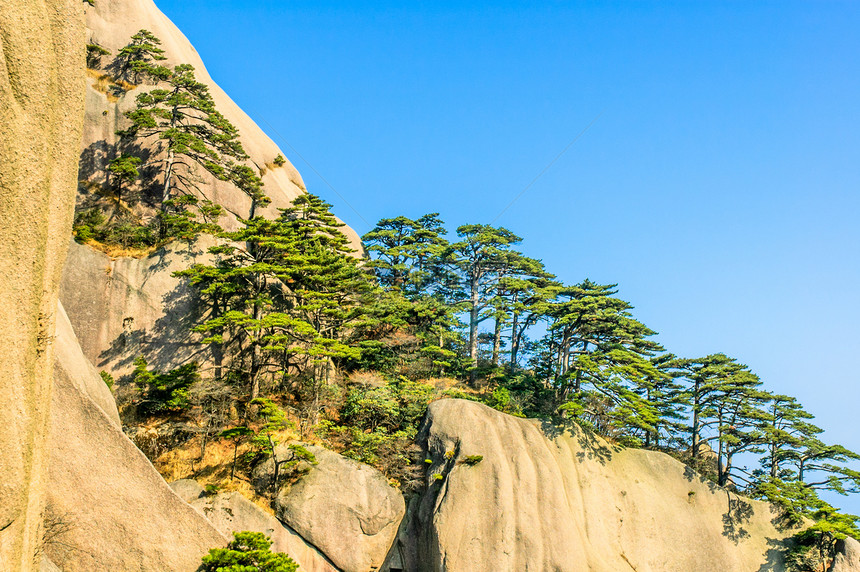 黄山和树树木文化石头风景蓝色岩石旅游天空晴天红色图片