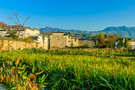 安徽宏村结构建筑池塘建筑物地点房子反射摄影村庄地方高清图片