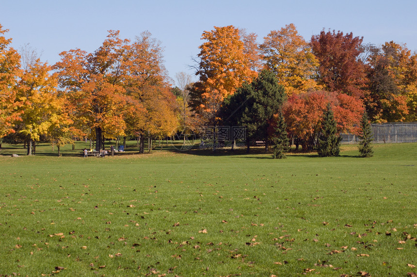 秋瀑绿色公园黄色天空阳光照射树叶红色蓝色图片