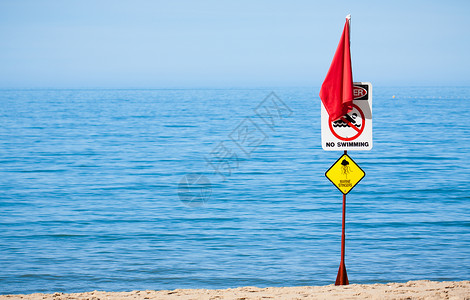 Jelly鱼类警告标志冒险海洋热带野生动物烧伤海蜇海滩毒液瓶子荒野背景图片