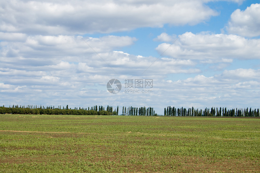 草地面积季节风景公园环境地平线蓝色阳光天空太阳牧场图片