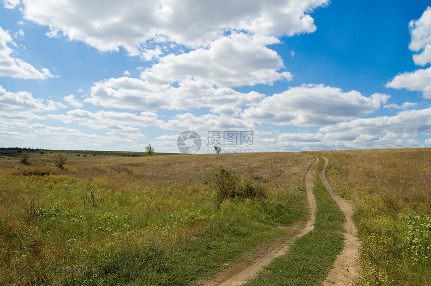 通向天空的公路农场乡村村庄阳光农田杂草白色农业草本植物土壤图片