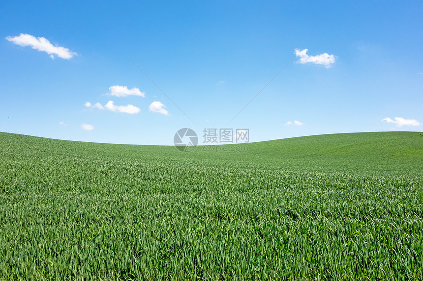 字段和天空蓝色环境植物群农场生长天气植被爬坡场地土地图片