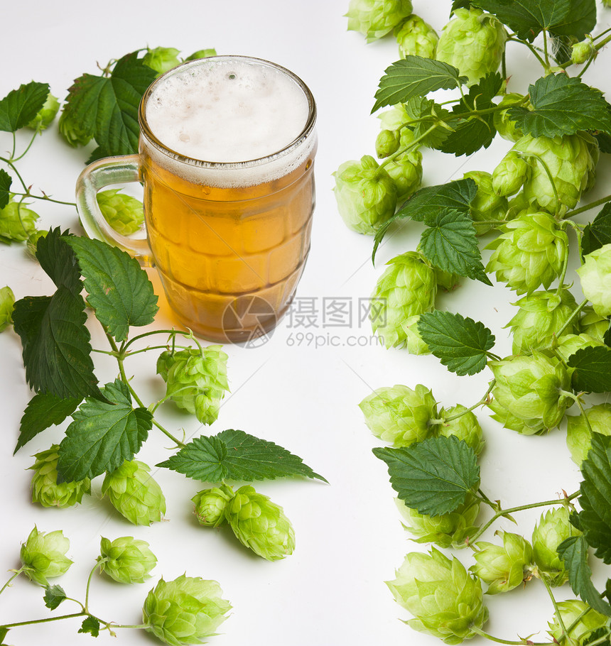 跳上植物学农业收获草本植物啤酒厂边界产品酒精啤酒酿造图片