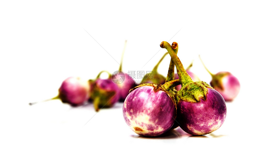一群小鸡蛋植物 奥贝金绿色白色椭圆食物团体蓝色蔬菜紫色养分图片
