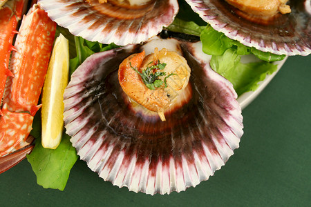 沙蟹海扇贝午餐美味贝壳营养用餐烹饪海鲜美食甲壳类贝类背景