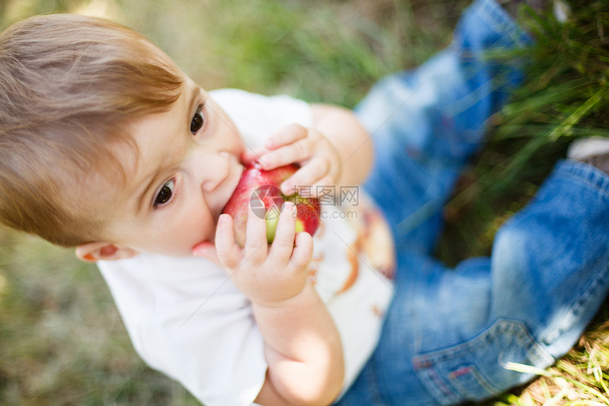 男孩宝宝吃苹果水果收成男性婴儿童年苹果树果园男生食物孩子图片